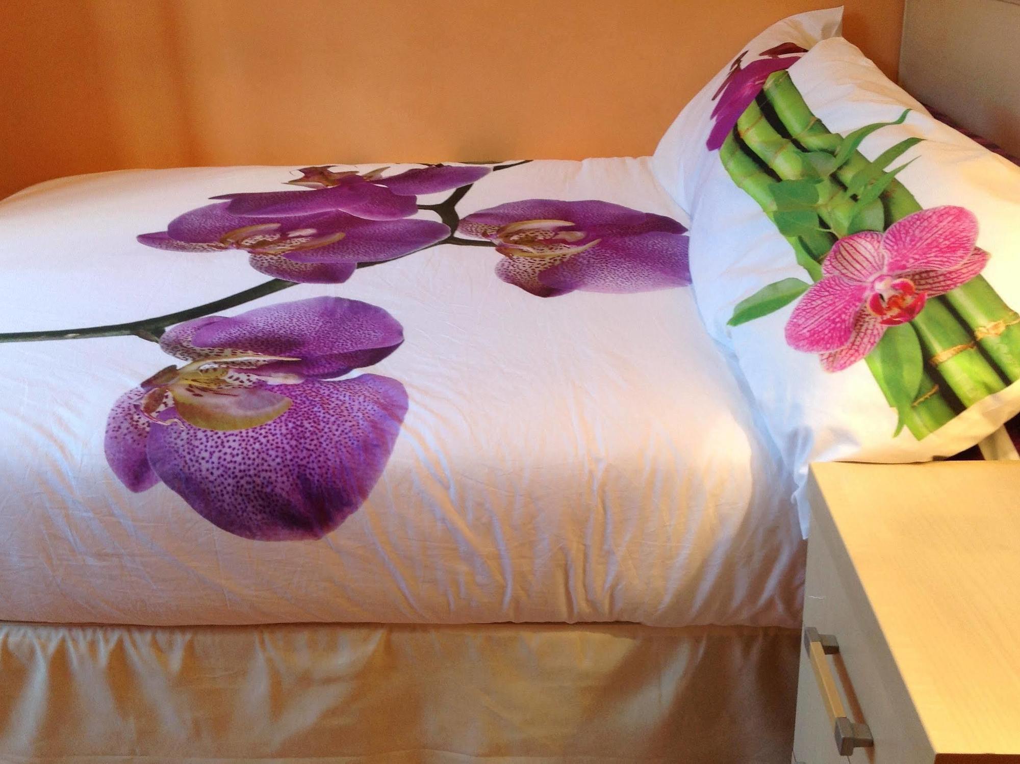 Guest house Luz Madrid